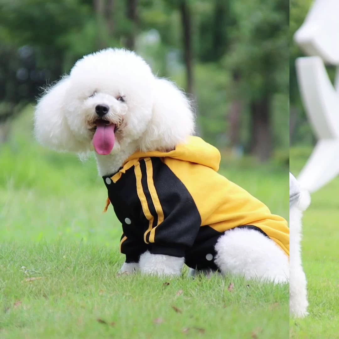 2024 new pet clothes autumn and winter warm dog sweater small and medium dog fleece hooded sweater wholesale