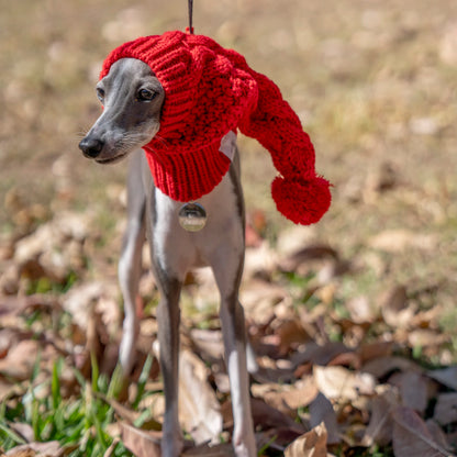 Whippet Winter Woolen Hat Red Pet Hat italian Greyhound Christmas Gift With Fur Ball Dog Hat