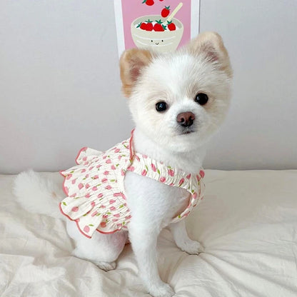 Teddy Princess Skirt Puppy Summer Clothes Pet Fruit Skirt Pomeranian Pretty Even Cloud Skirt Cool Dog Clothes Pet Products