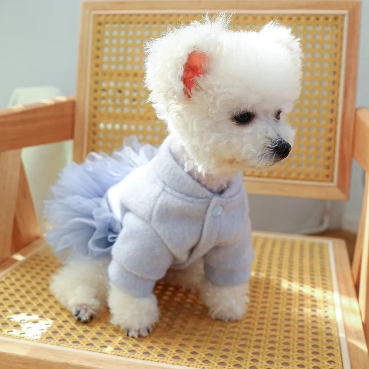 1PC Pet Clothing Dog Autumn and Winter Thickened Blue Crown Princess Dress With Drawstring Buckle For Small Medium Dogs