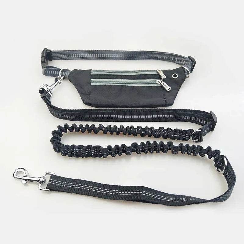 Pet Dog Leash  Waist Waterproof Pockets Dog Reflective Belt  Elasticity Collar Rope Running Jogging Walking Pet Supplies