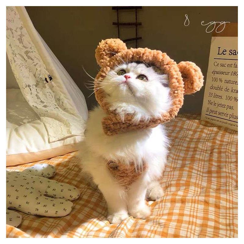 New pet hat bear plush headgear cute cat dog knitted warm headwear