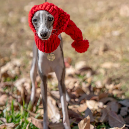 Whippet Winter Woolen Hat Red Pet Hat italian Greyhound Christmas Gift With Fur Ball Dog Hat