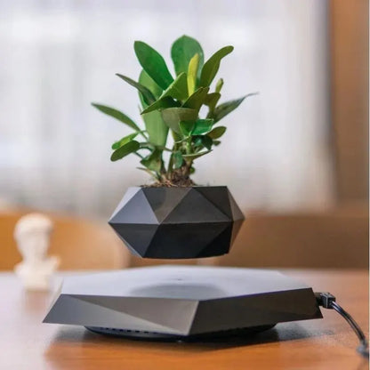 Floating Magnetic Flower Pot Flower Table Creative Home Decoration Pot Black Technology Landscape Desktop Decoration